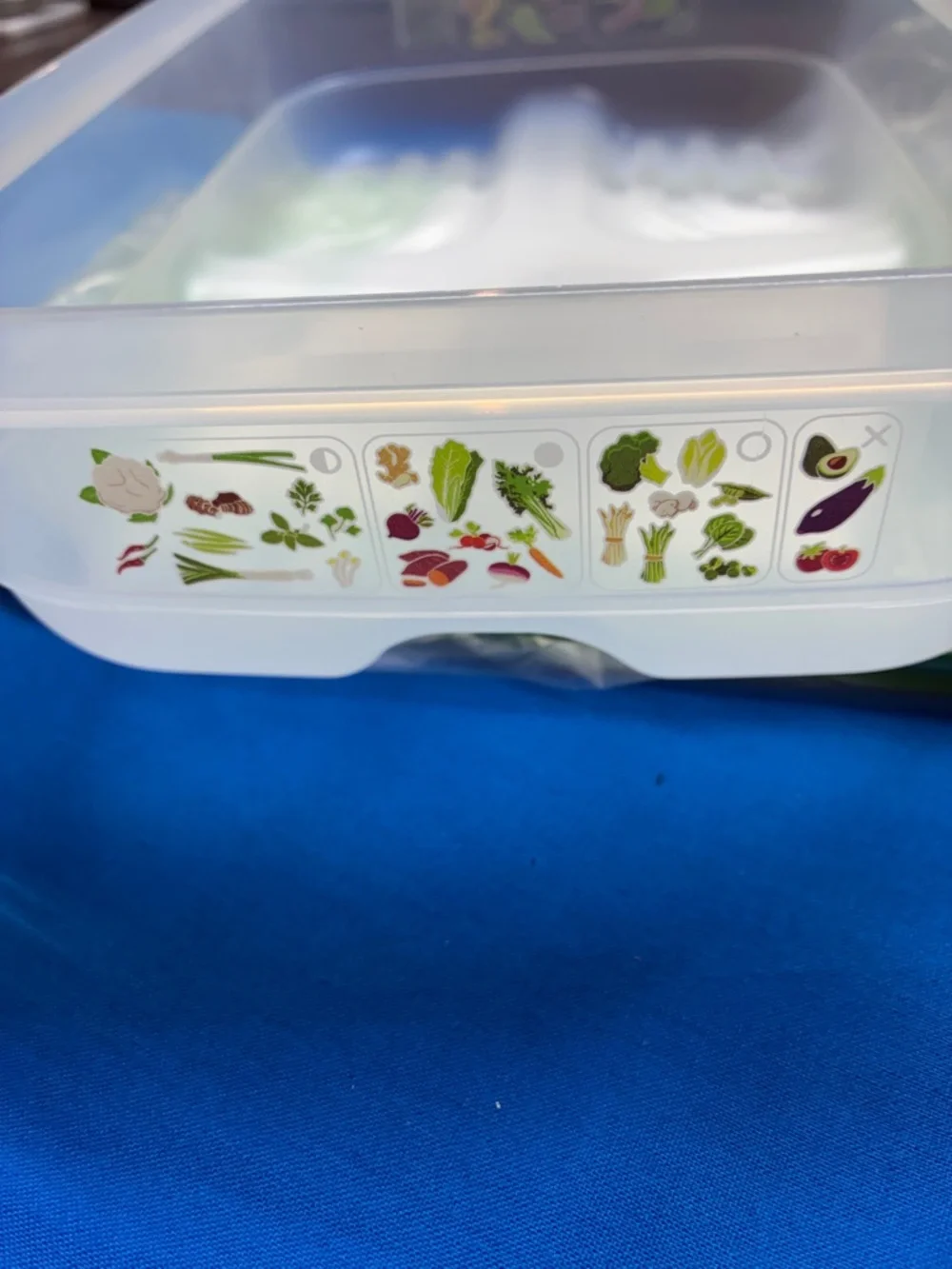 Tupperware Bright Green FridgeSmart Storage Container - Picture 3 of 3